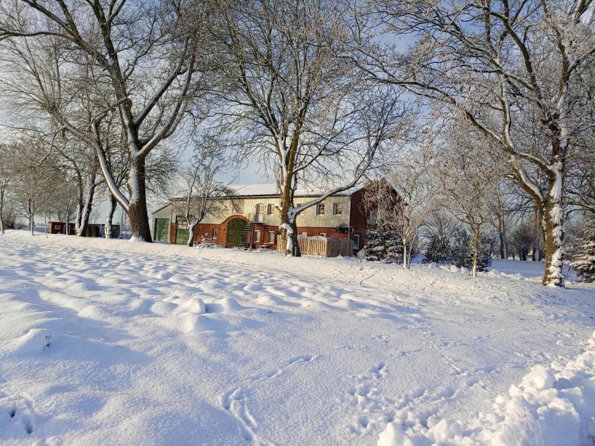 Ferienhof Hansen Groven Bagian luar foto